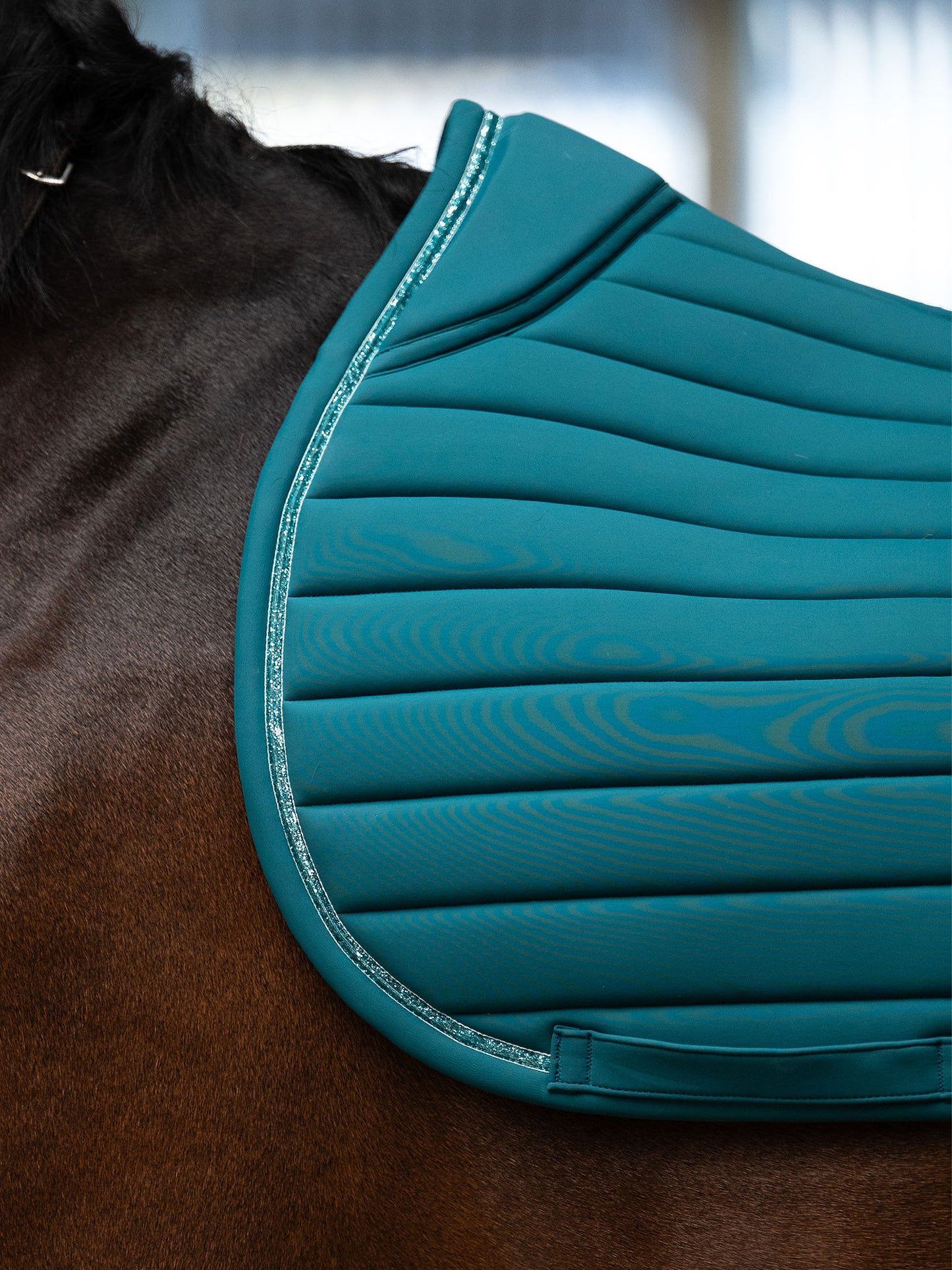 SP STRIPE JAde Noir, Dressage