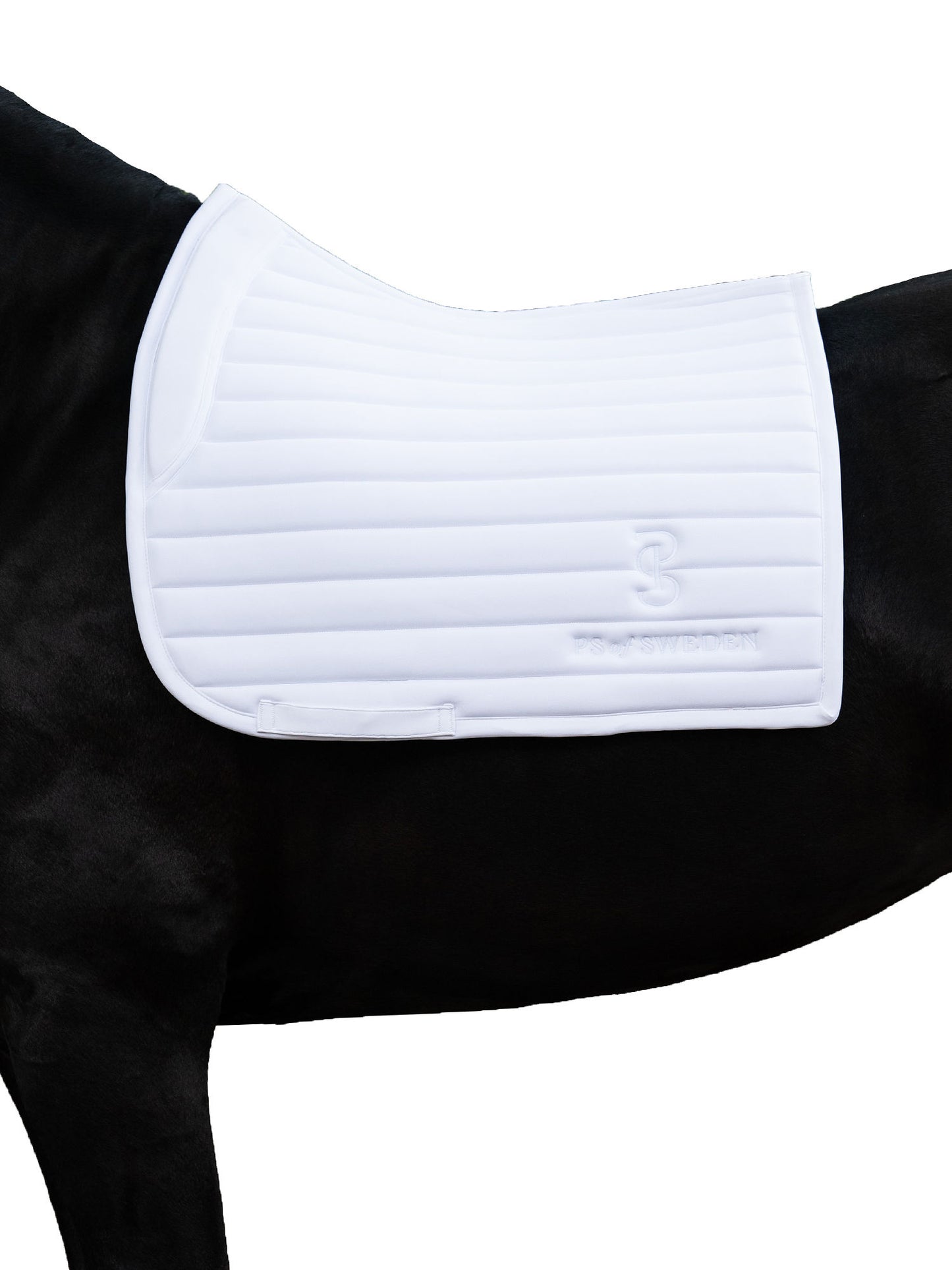 SP Stripe WHITE, Dressage