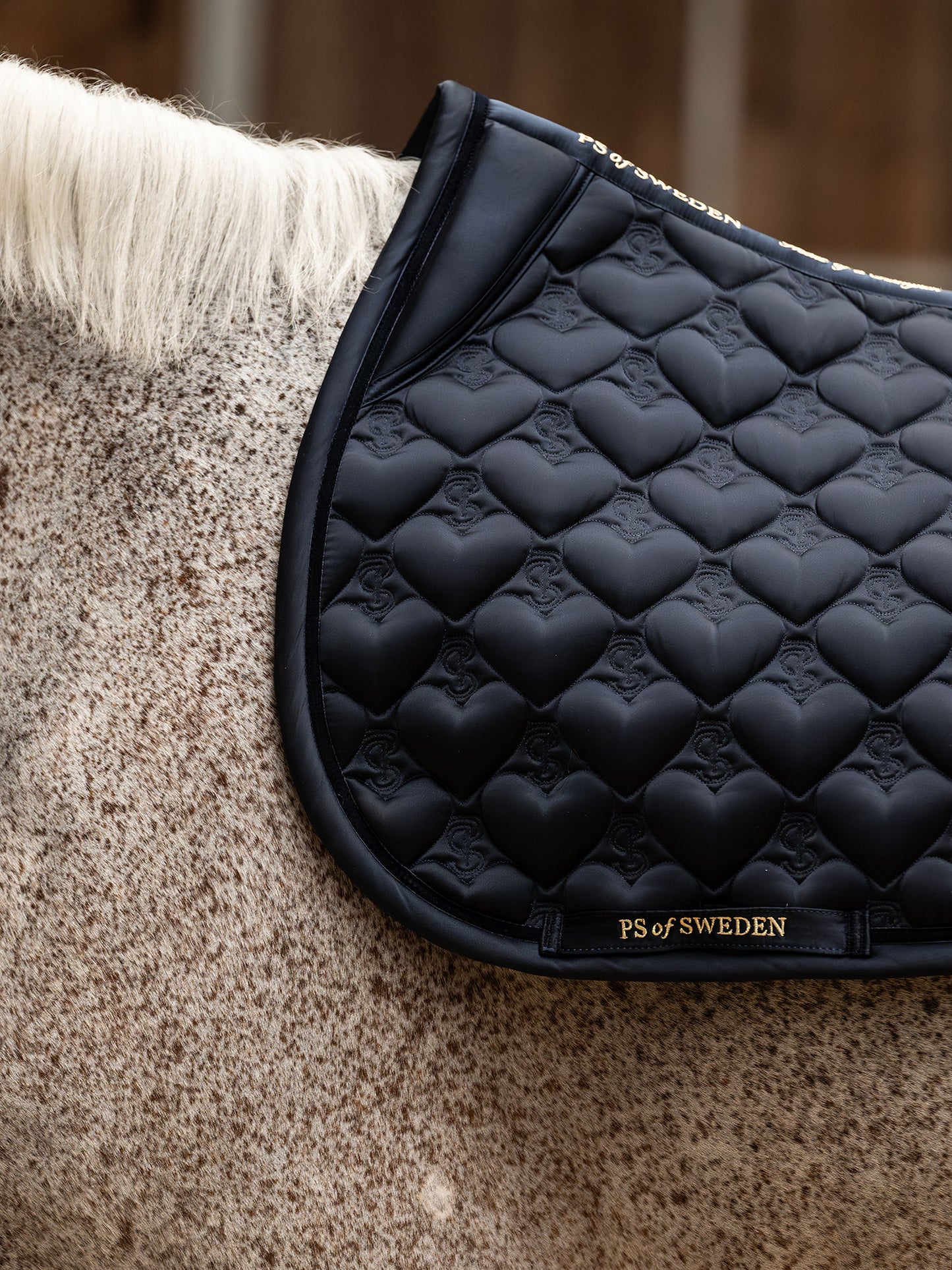 SP HEART Navy, Jump