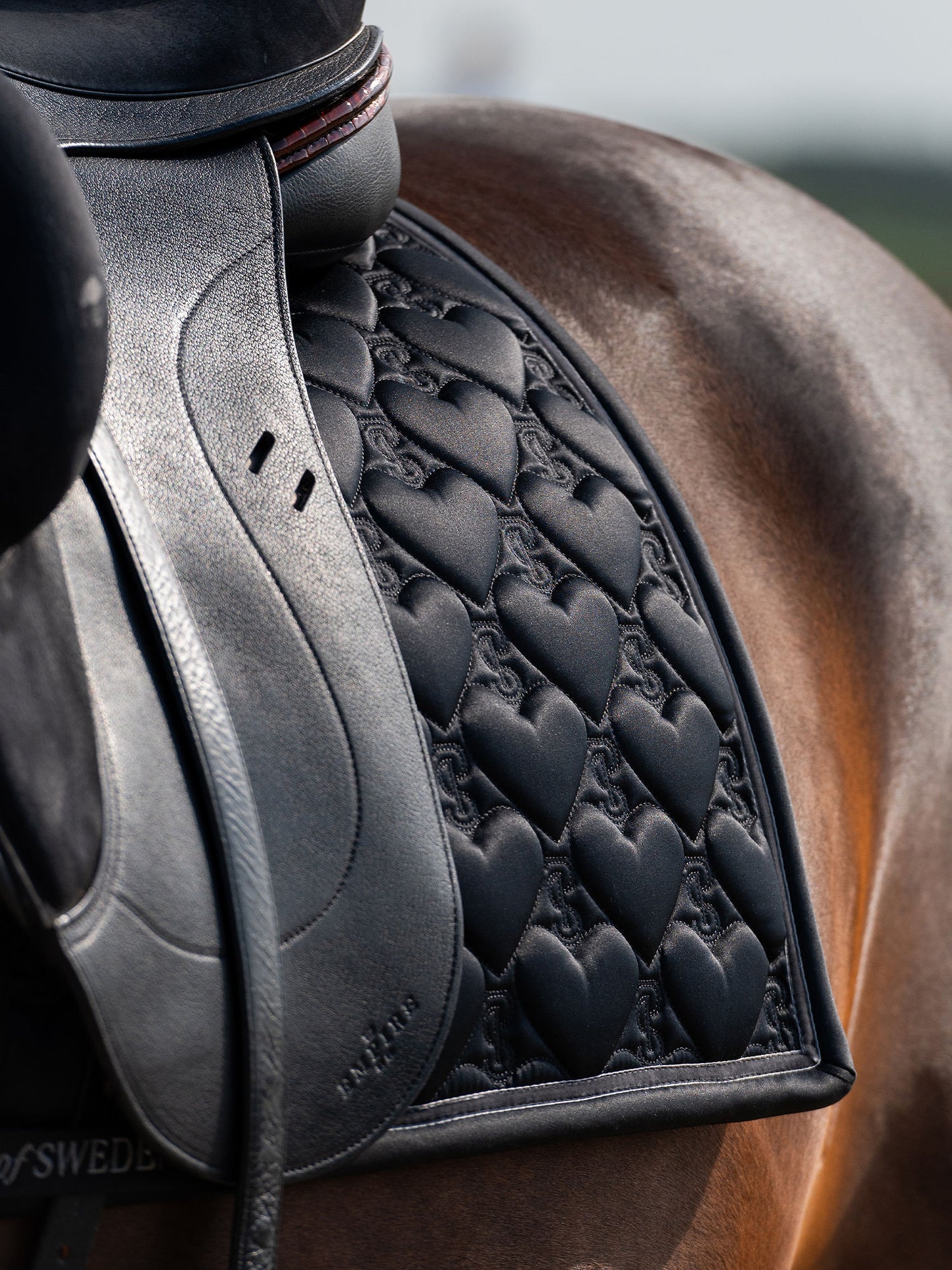 SP Heart BLACK Dressage