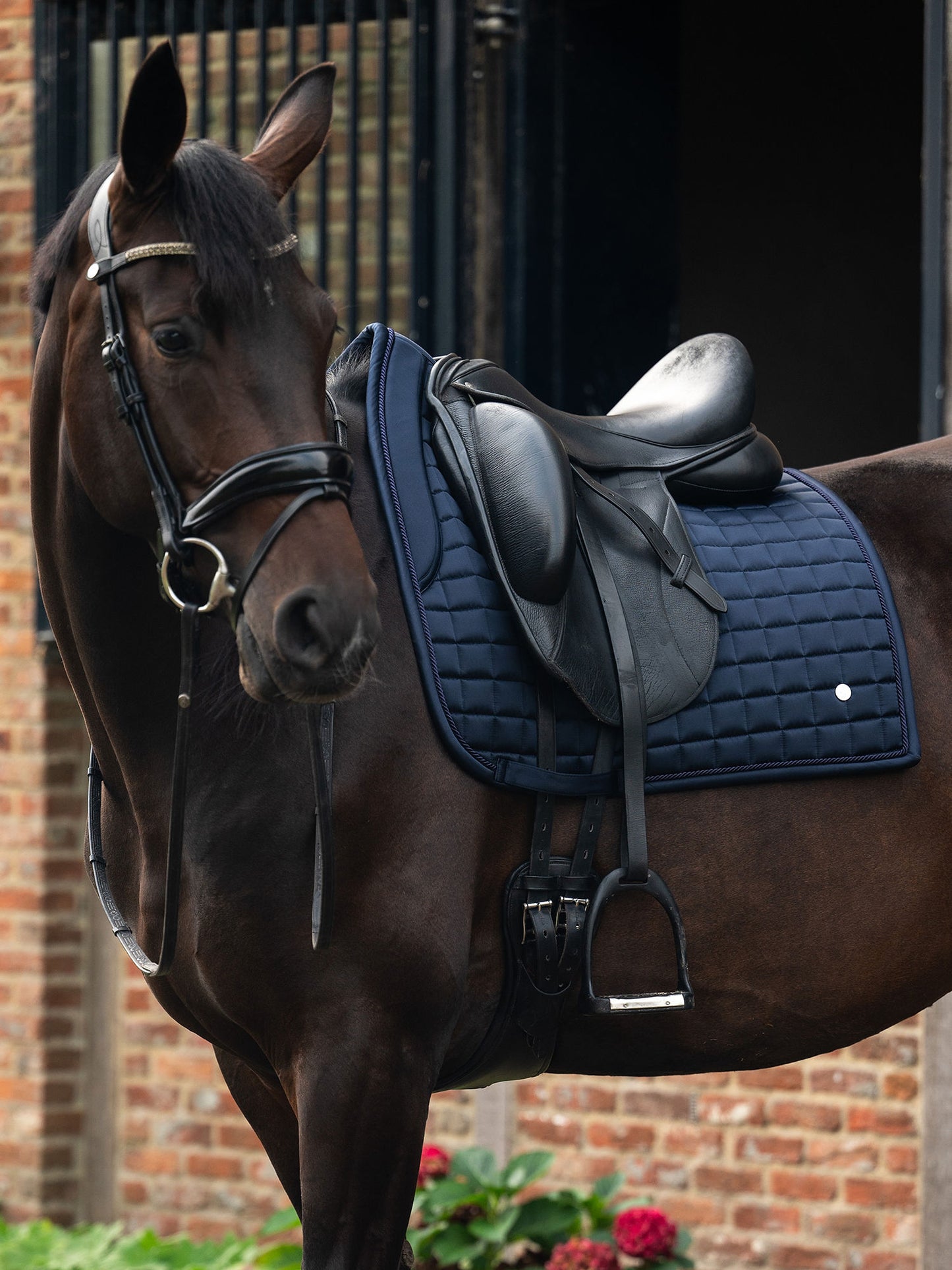 SP Classic Quilt NAVY Dressage