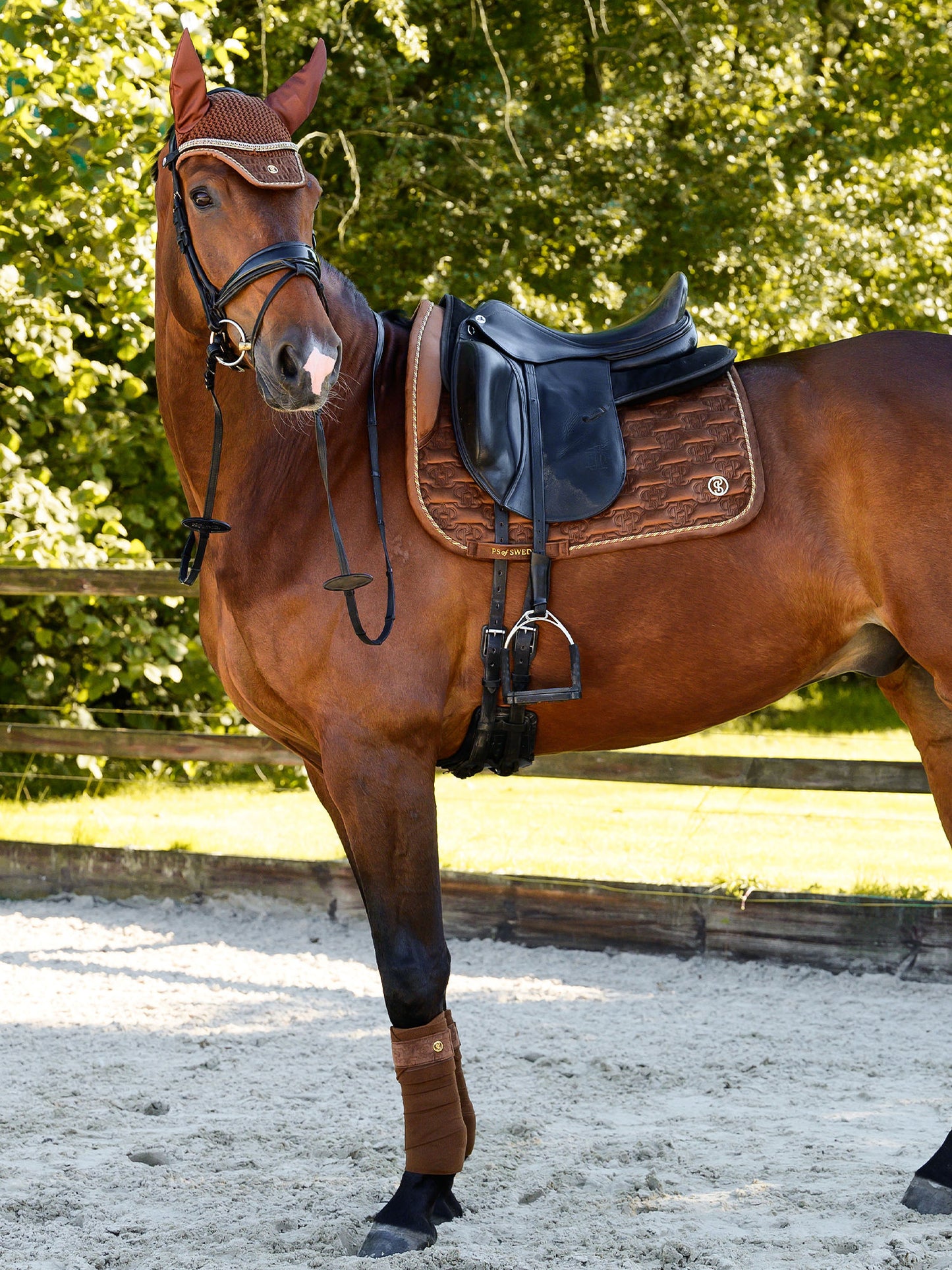 SP Velvet Monogram FUDGE Dressage