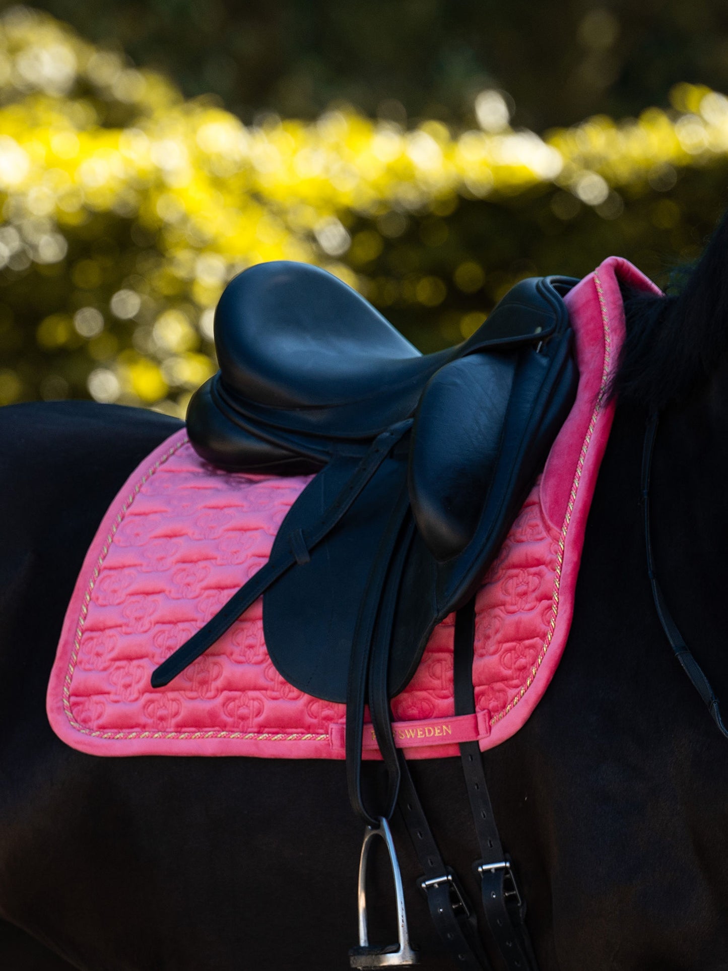 SP Velvet Monogram SCARLET PINK Dressage