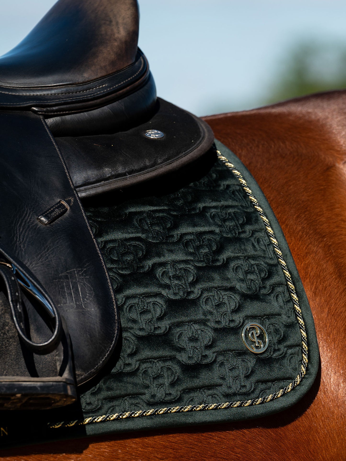 SP Velvet Monogram MIDNIGHT GREEN Dressage