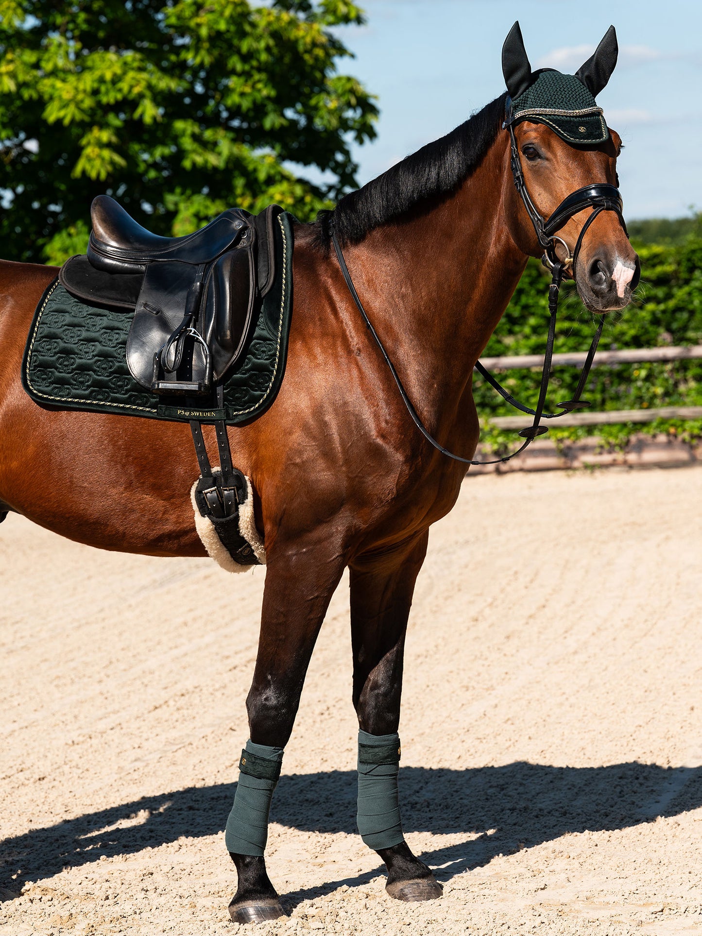 SP Velvet Monogram MIDNIGHT GREEN Dressage