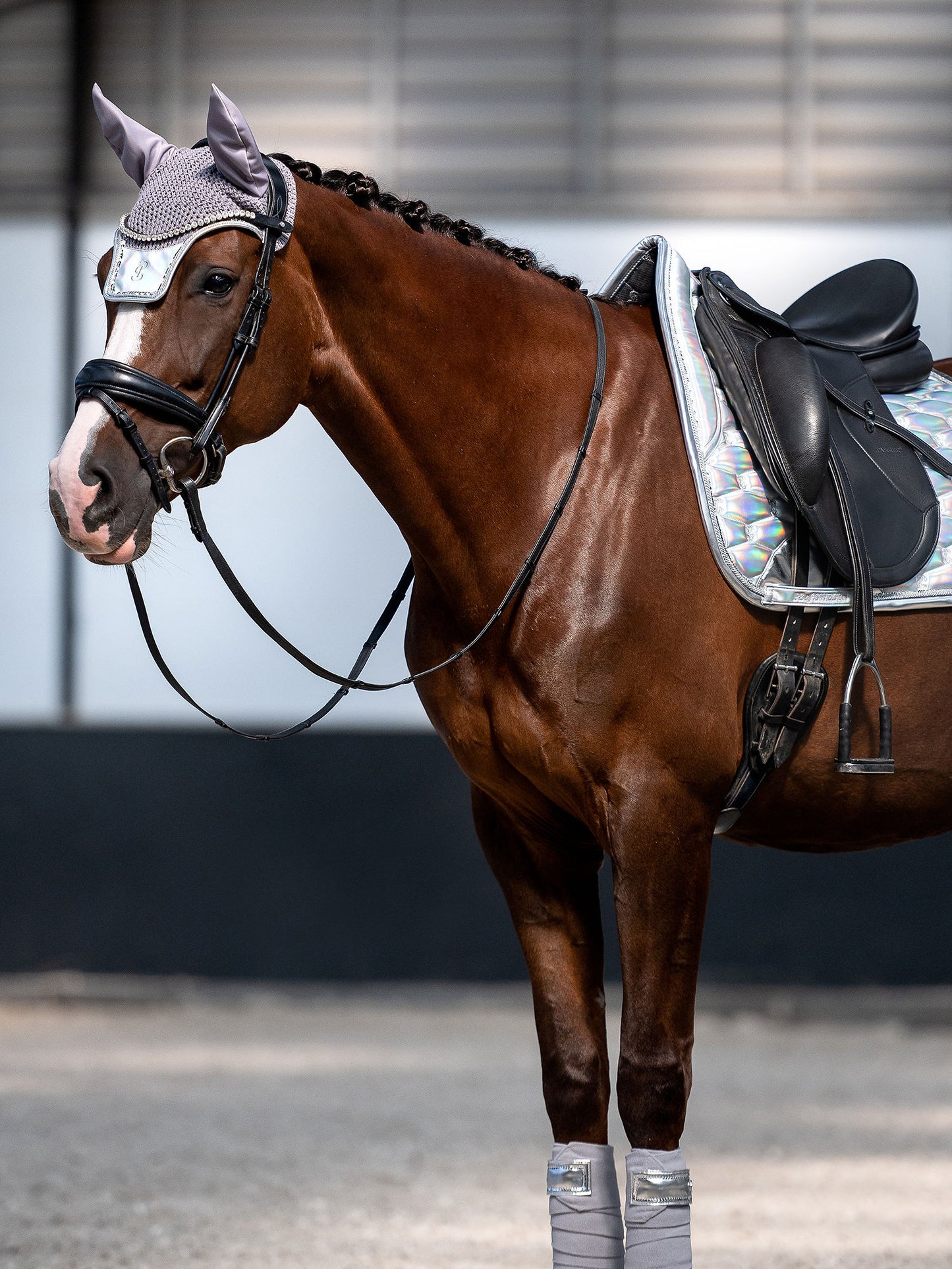 SP Dazzling Metallic SILVER Dressage