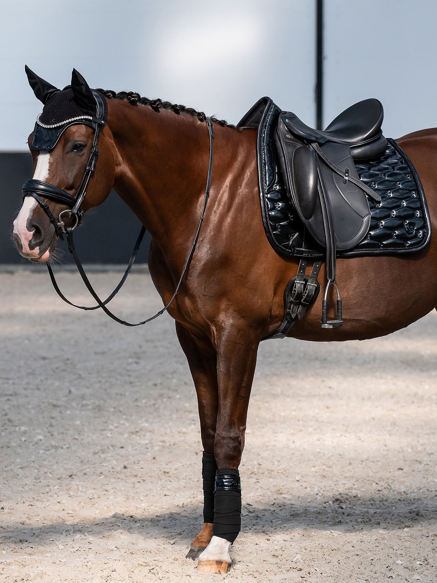 SP Dazzling Metallic BLACK Dressage