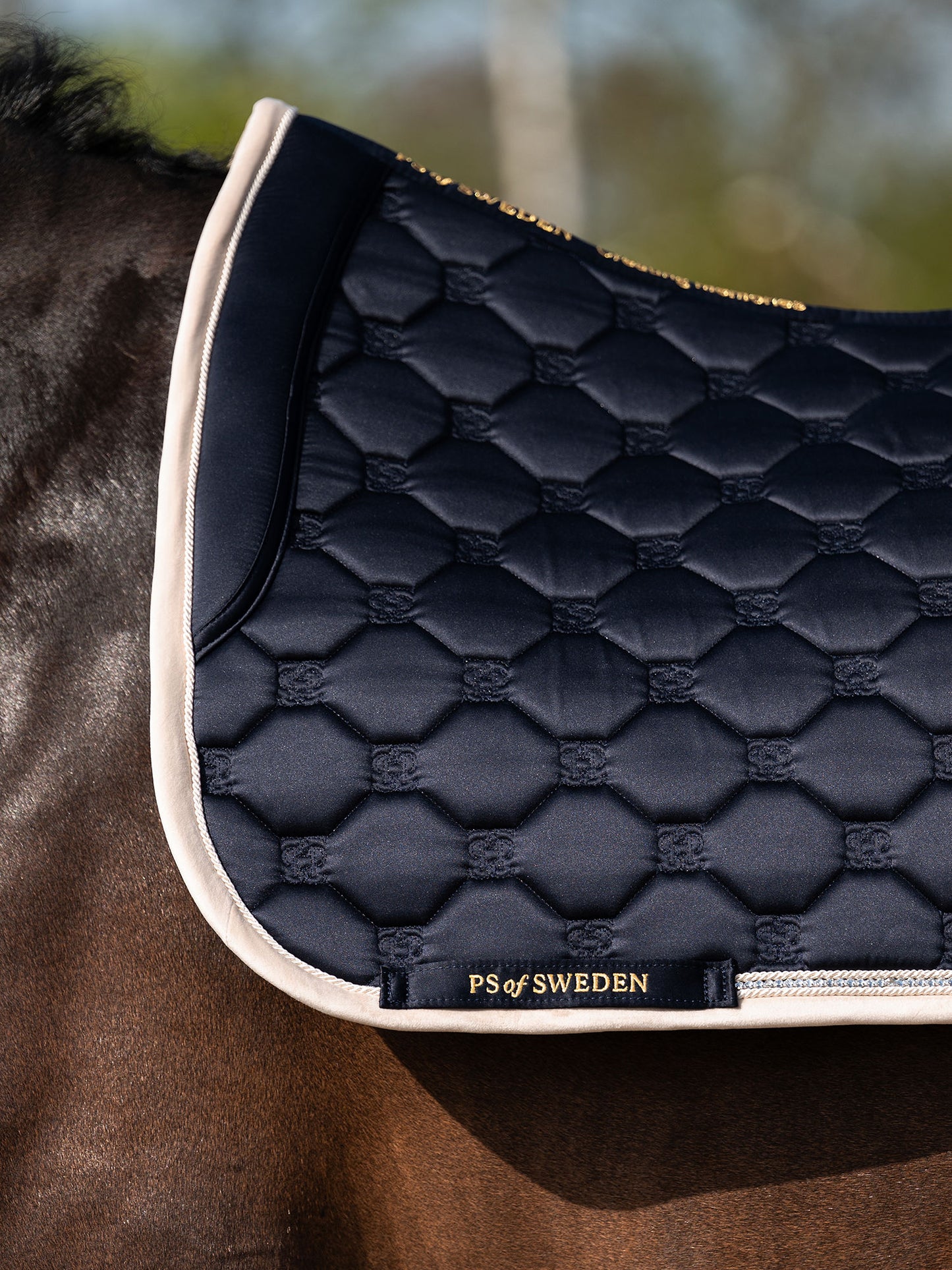 Bundle Vintage Monogram NAVY, Dressage