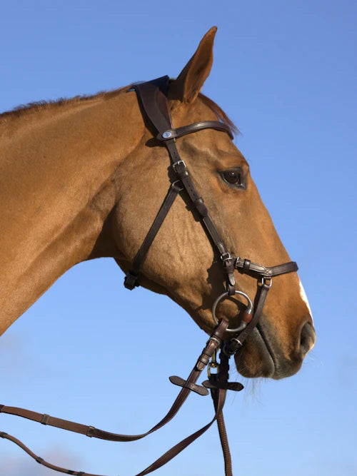 Bridle KING EDWARD