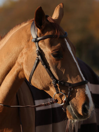 Bridle KING EDWARD