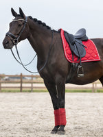 Load image into Gallery viewer, PONY SP Signature CHILLI RED Dressage

