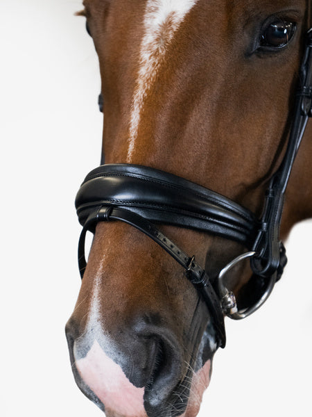 Noseband Bridle GP