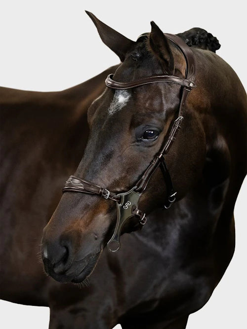 Bridle Hackamore Sport