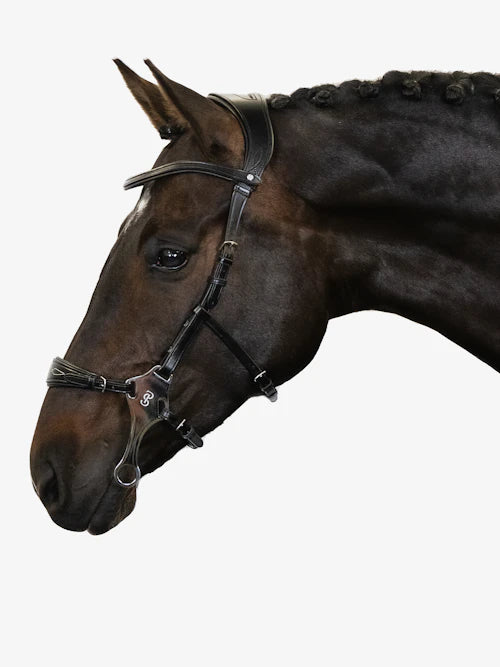 Bridle Hackamore Sport