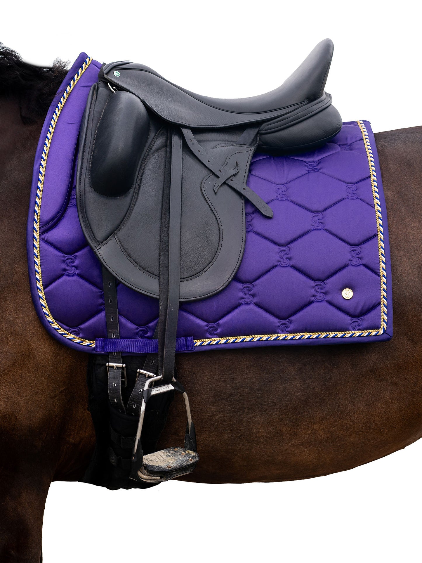 SP Signature LILAC Dressage