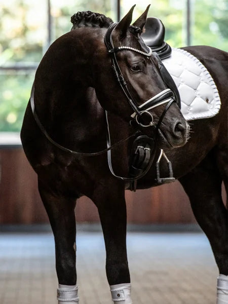 SP Ruffle WHITE Dressage