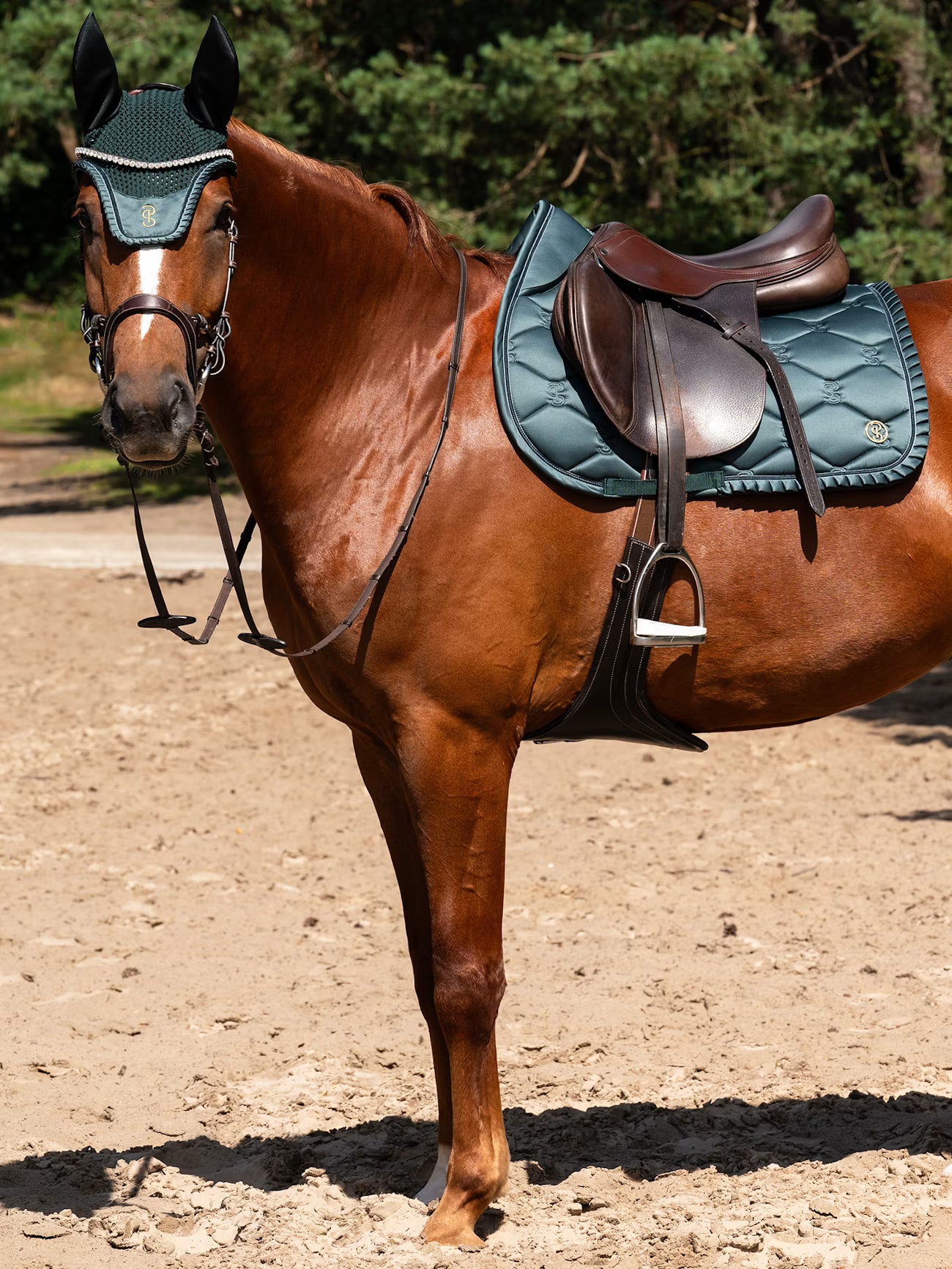 SP Ruffle MIDNIGHT GREEN Jump