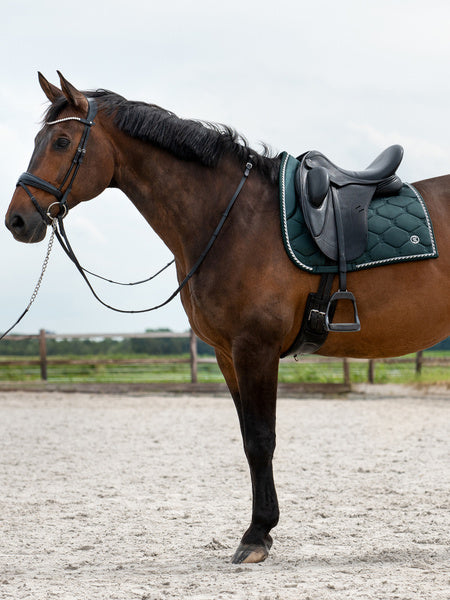 SP Signature MIDNIGHT GREEN Dressage
