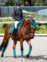 Load image into Gallery viewer, PONY SP Signature JADE Dressage
