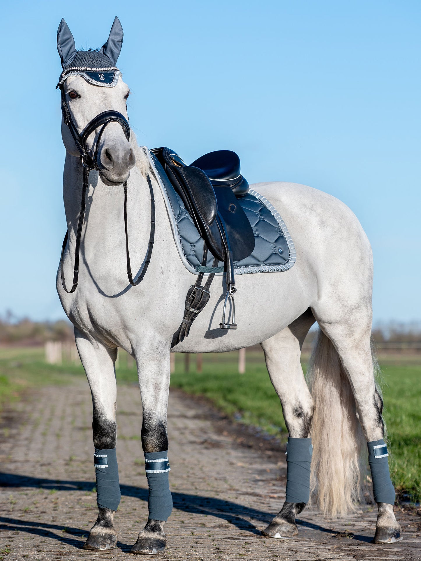 Polos Ruffle Pearl STORM BLUE