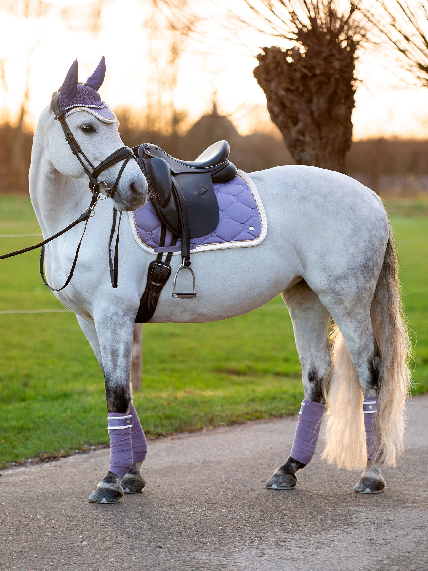 Polos Ruffle Pearl LAVENDER GREY