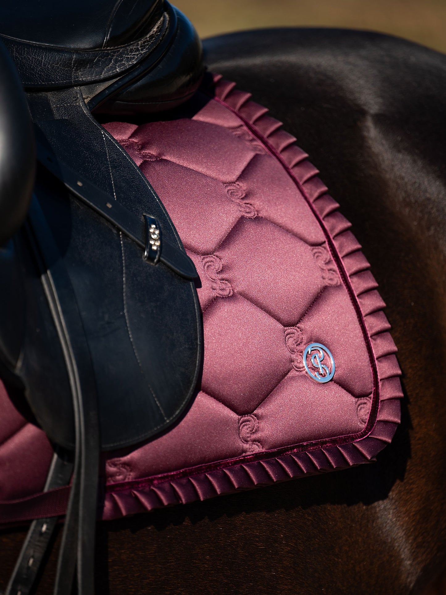 SP Ruffle PLUM, Dressage