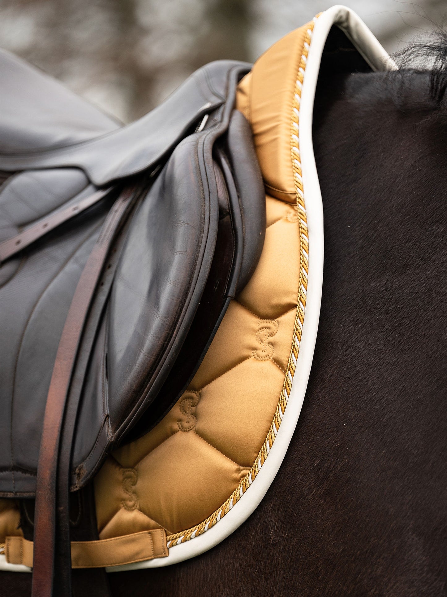 SP Signature GOLDEN Dressage