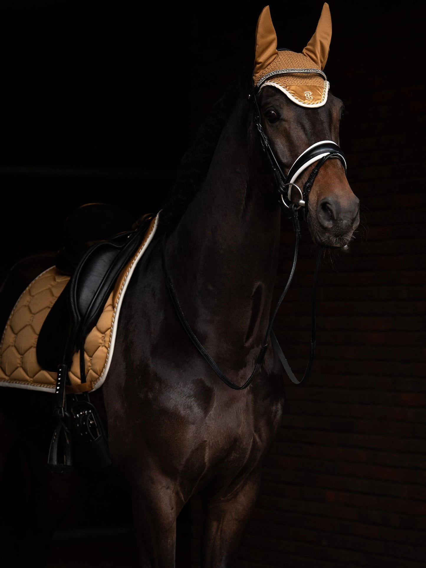 SP Signature GOLDEN Dressage