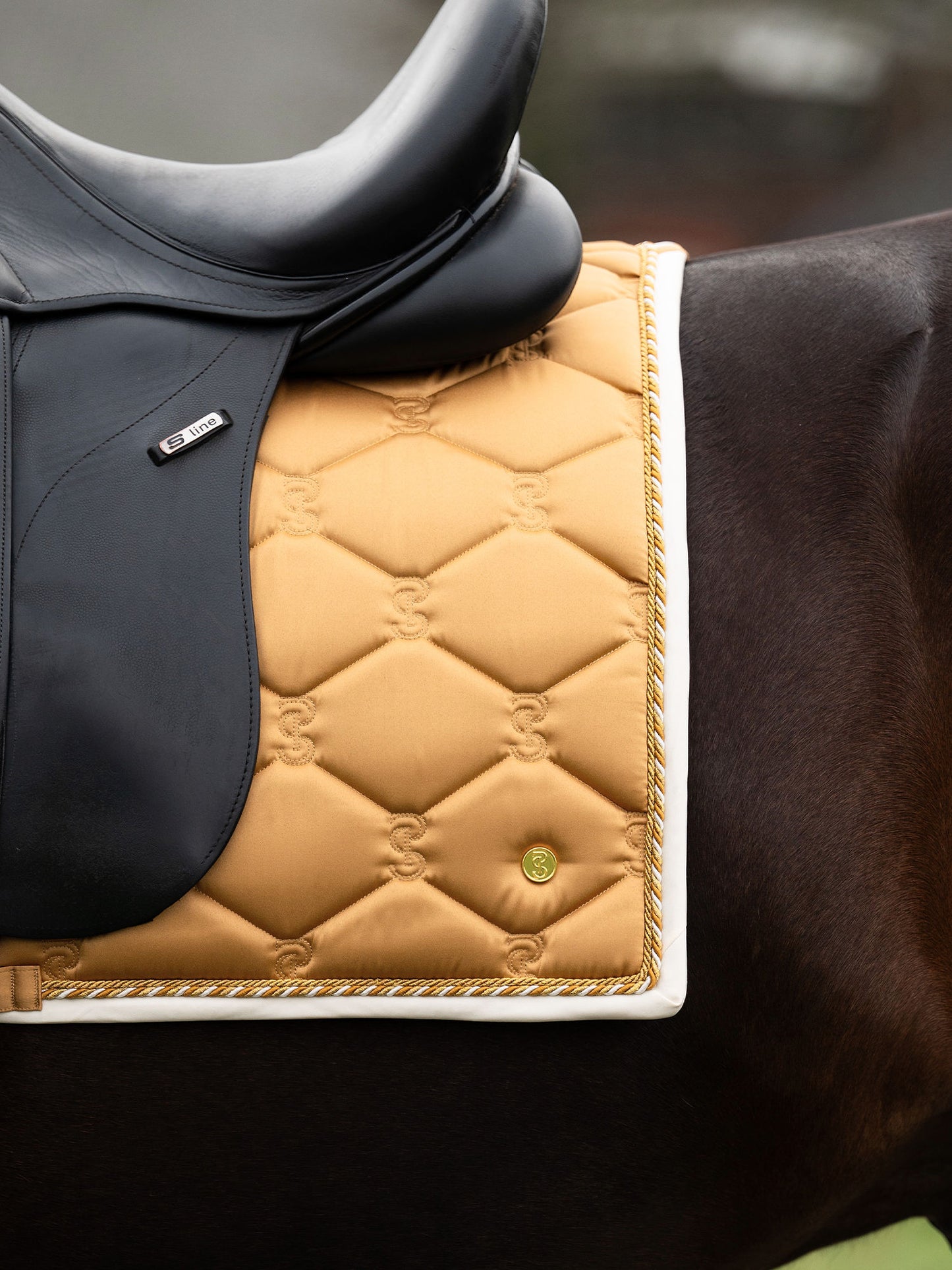 SP Signature GOLDEN Dressage