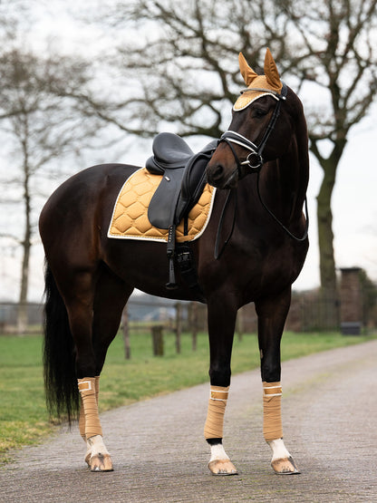 SP Signature GOLDEN Dressage