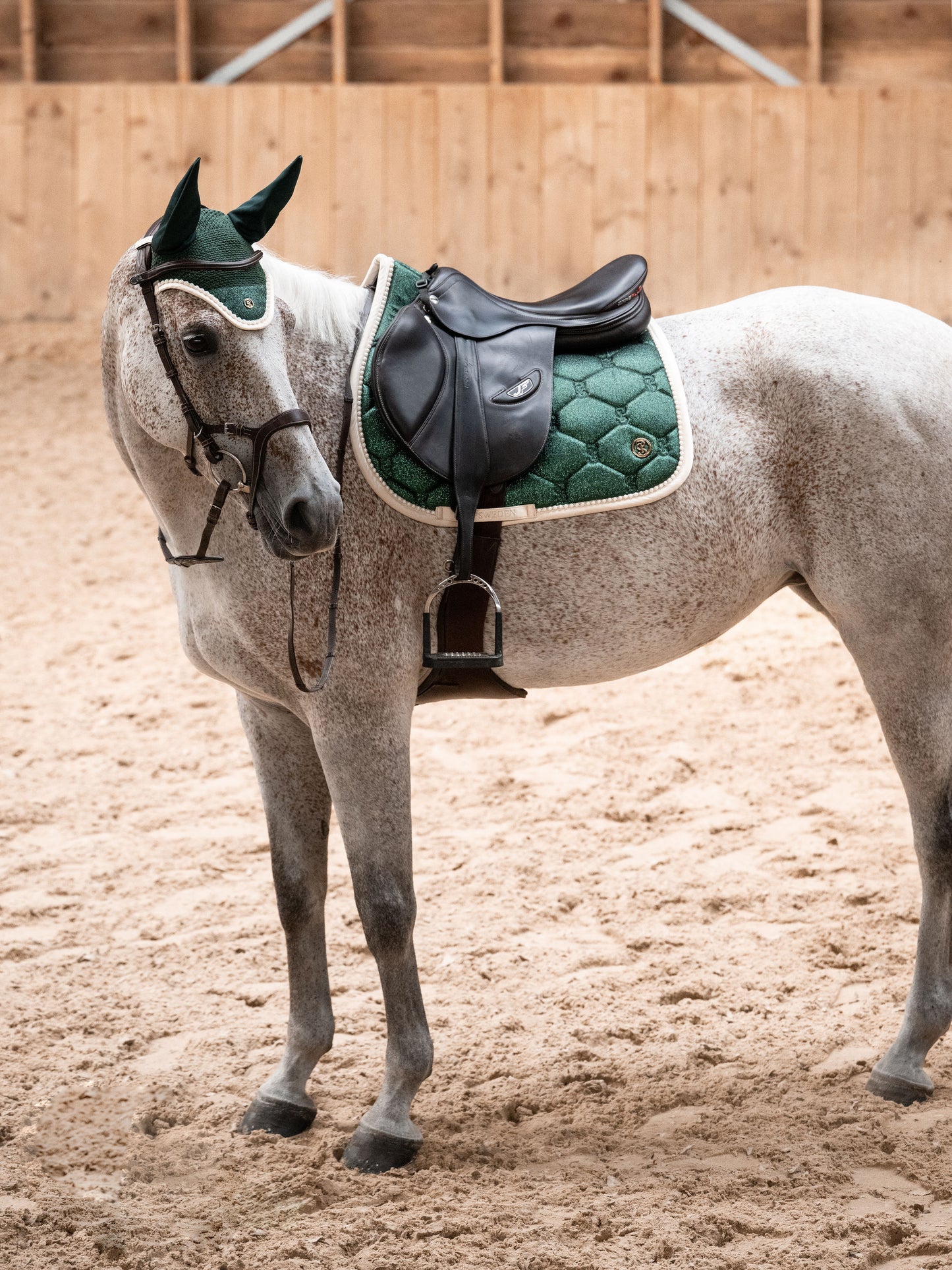 Bundle Stardust Pearl SPARKLY EMERALD, Dressage