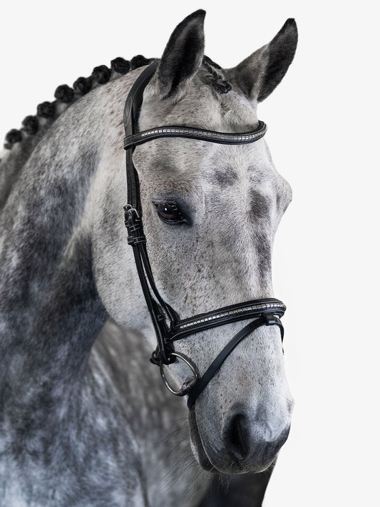 Bridle AMSTERDAM 2.0