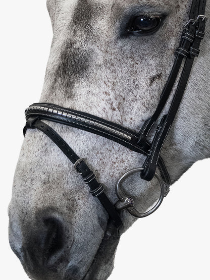 Bridle AMSTERDAM 2.0