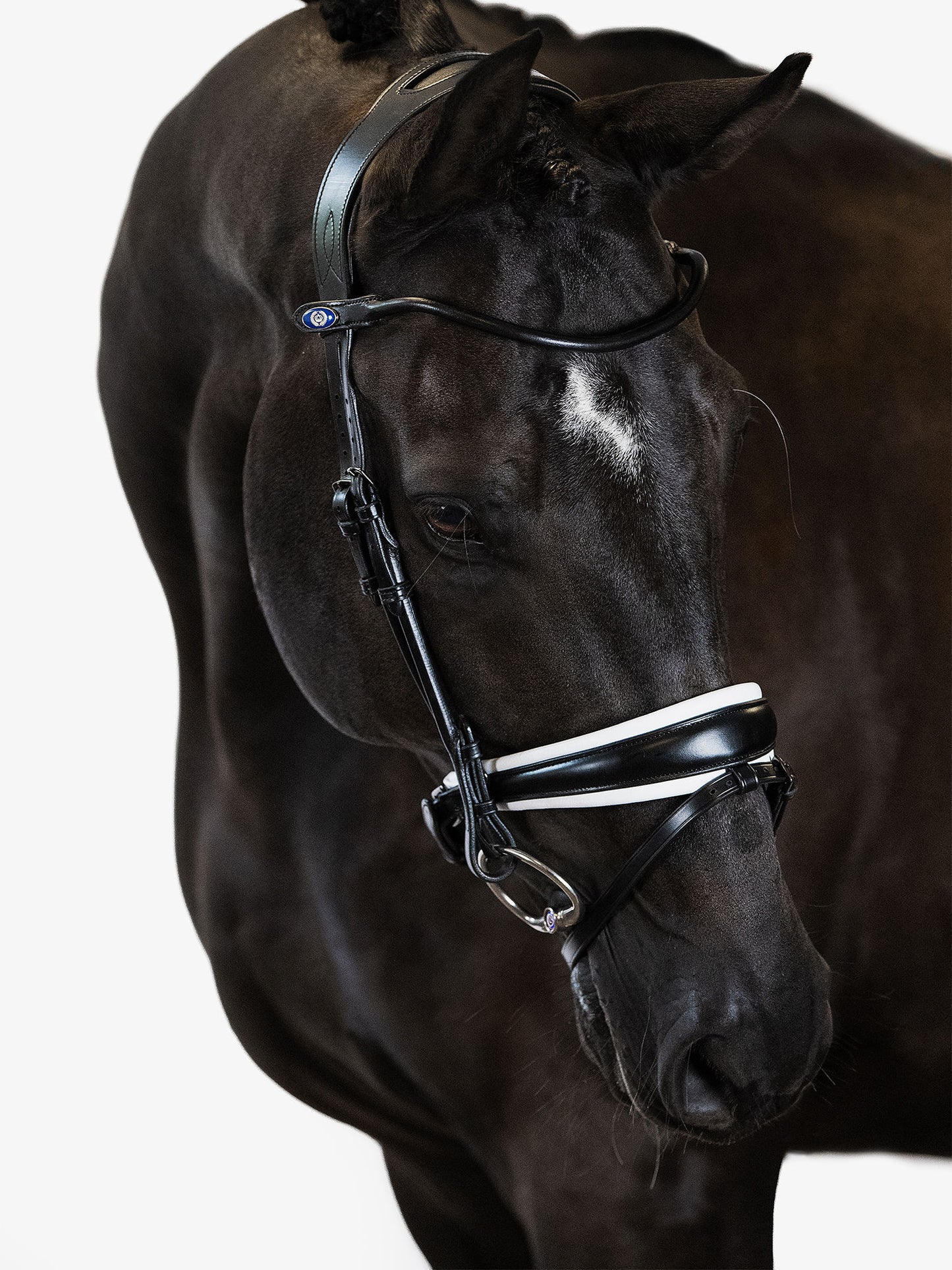 Bridle GP