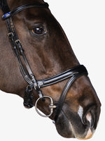 Load image into Gallery viewer, Noseband Jump Off
