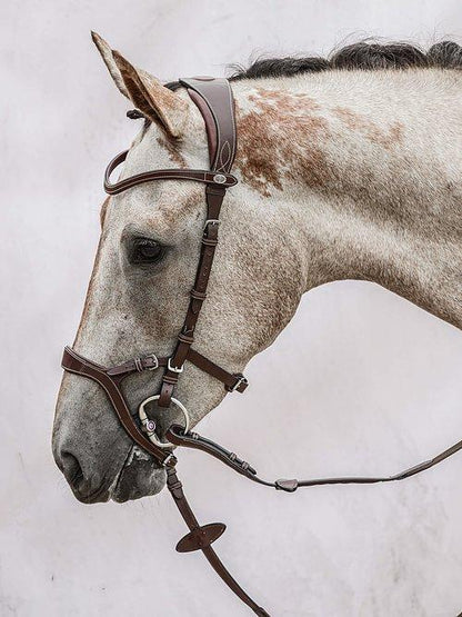 Nirak - PS Bridles