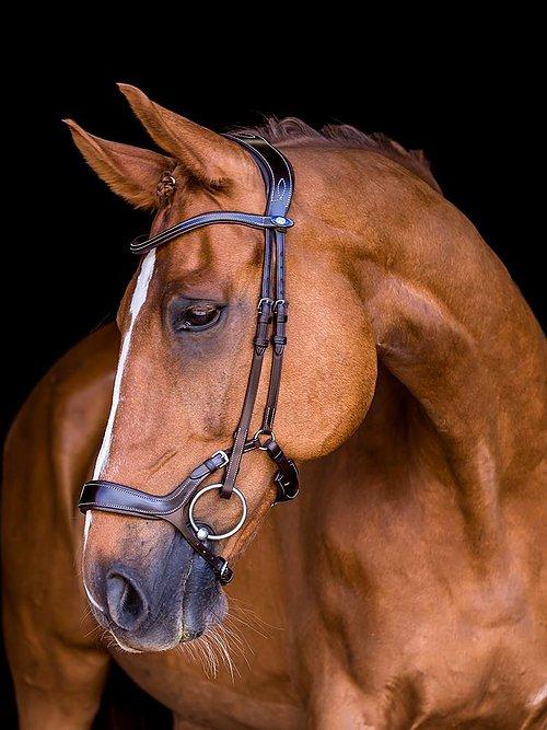 Pioneer - PS Bridles