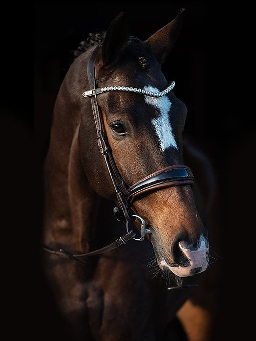 Bridle GP, Lacquered