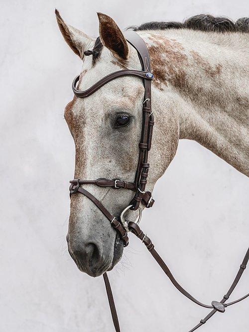 HvE - PS Bridles