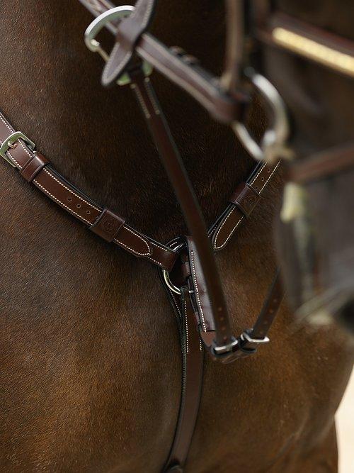 Martingale SEOUL - PS Bridles