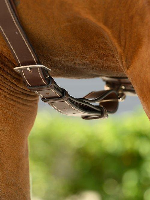 Breastplate TOKYO - PS Bridles