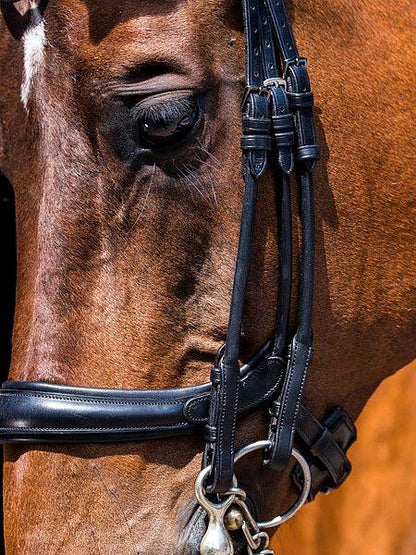 Double Bridle PARRAGON - PS Bridles