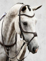 Load image into Gallery viewer, Athens Bridle - PS Bridles
