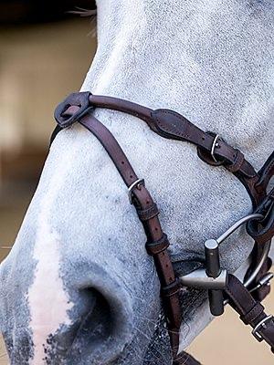 HvE - PS Bridles