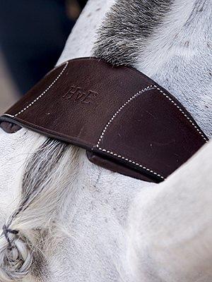 HvE - PS Bridles