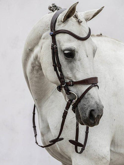 HvE - PS Bridles