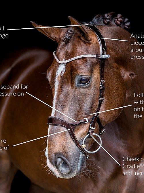 Nirak - PS Bridles