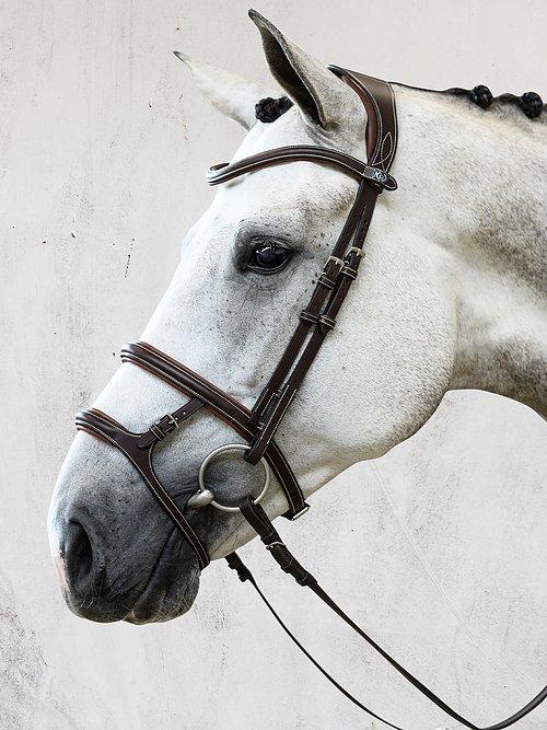 Paris - PS Bridles