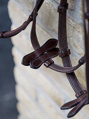 Rein HvE - PS Bridles