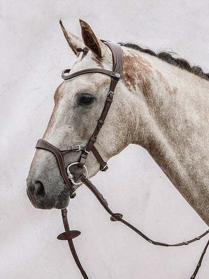 Nirak - PS Bridles